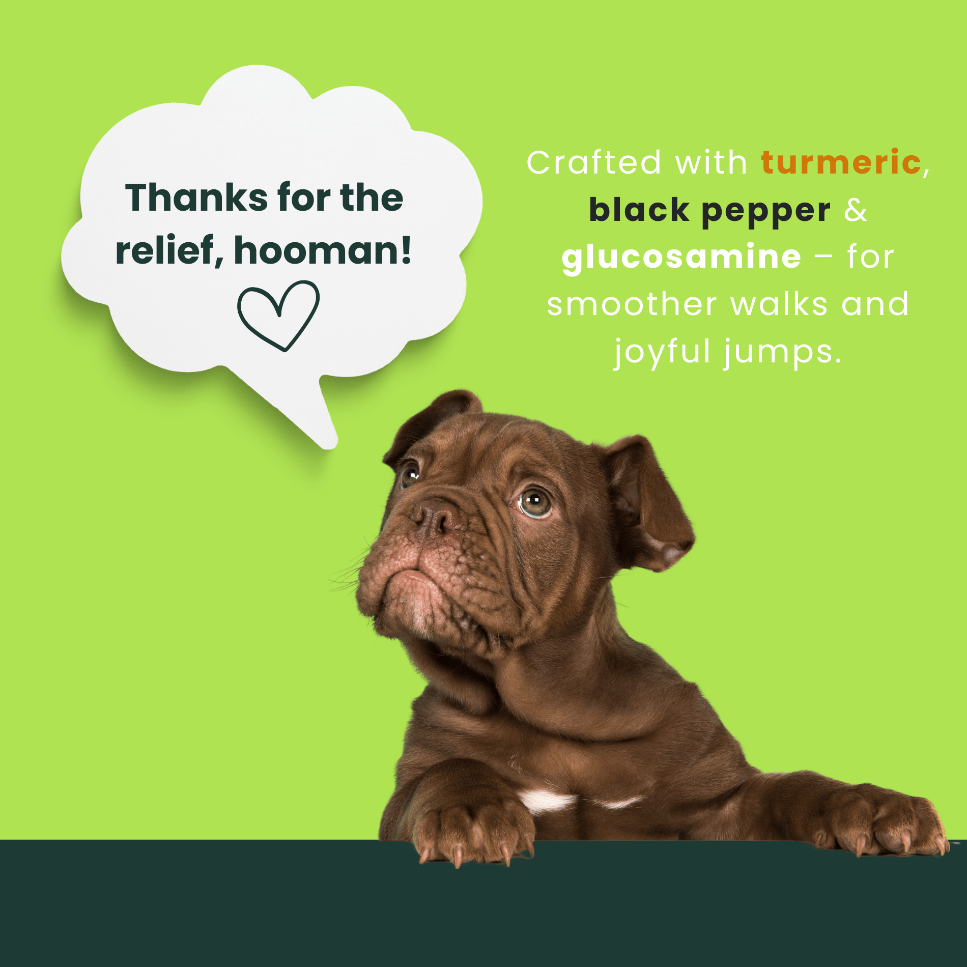 Advanced Hip & Joint Care - Powered by Nature