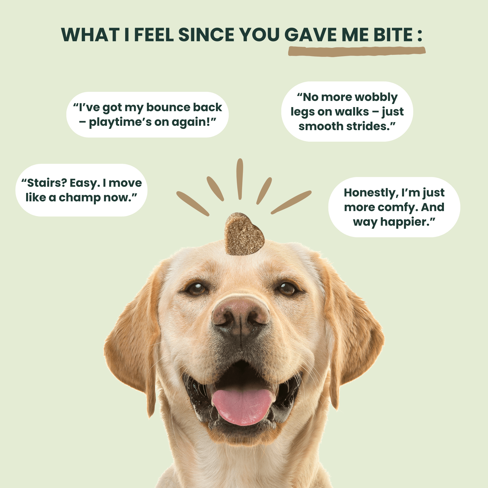 Advanced Hip & Joint Care - Powered by Nature